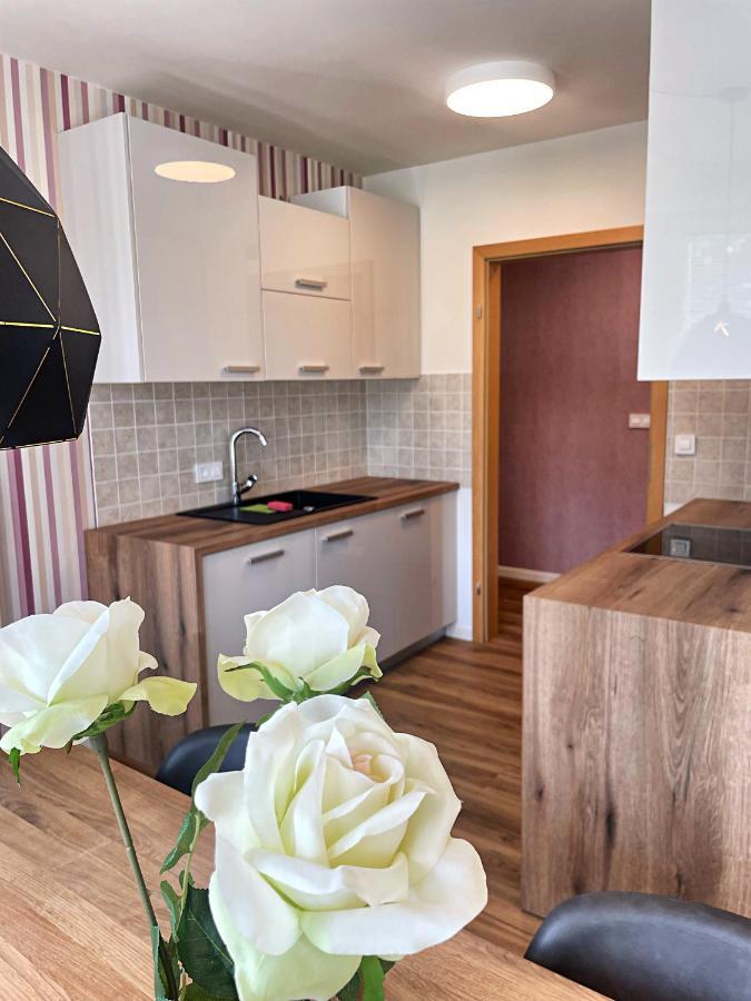 Vila Urbana Luxury Apartments Лешче Экстерьер фото