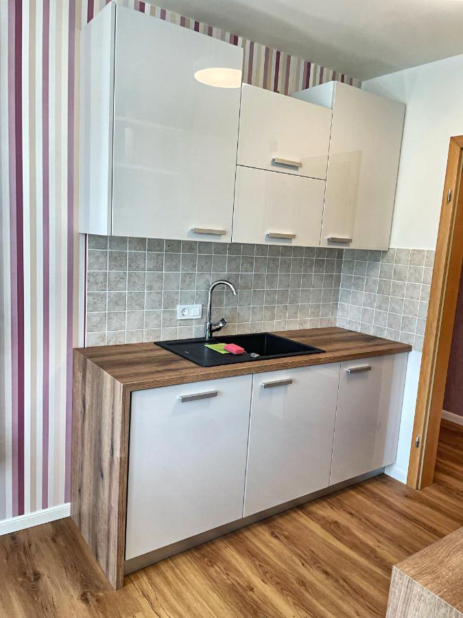 Vila Urbana Luxury Apartments Лешче Экстерьер фото